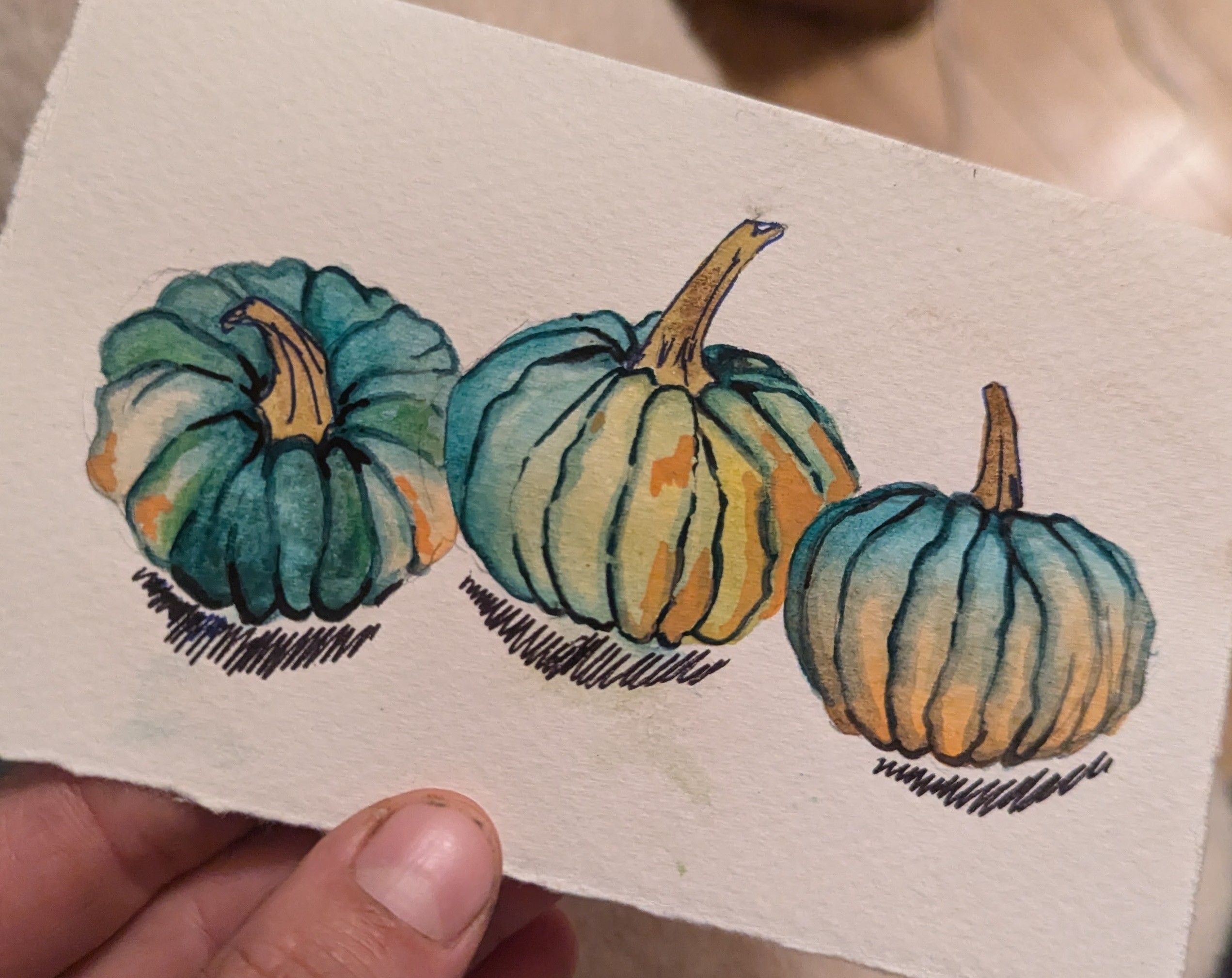 A watercolor illustration of three black futsu winter squash, detailed with fine ink lines.