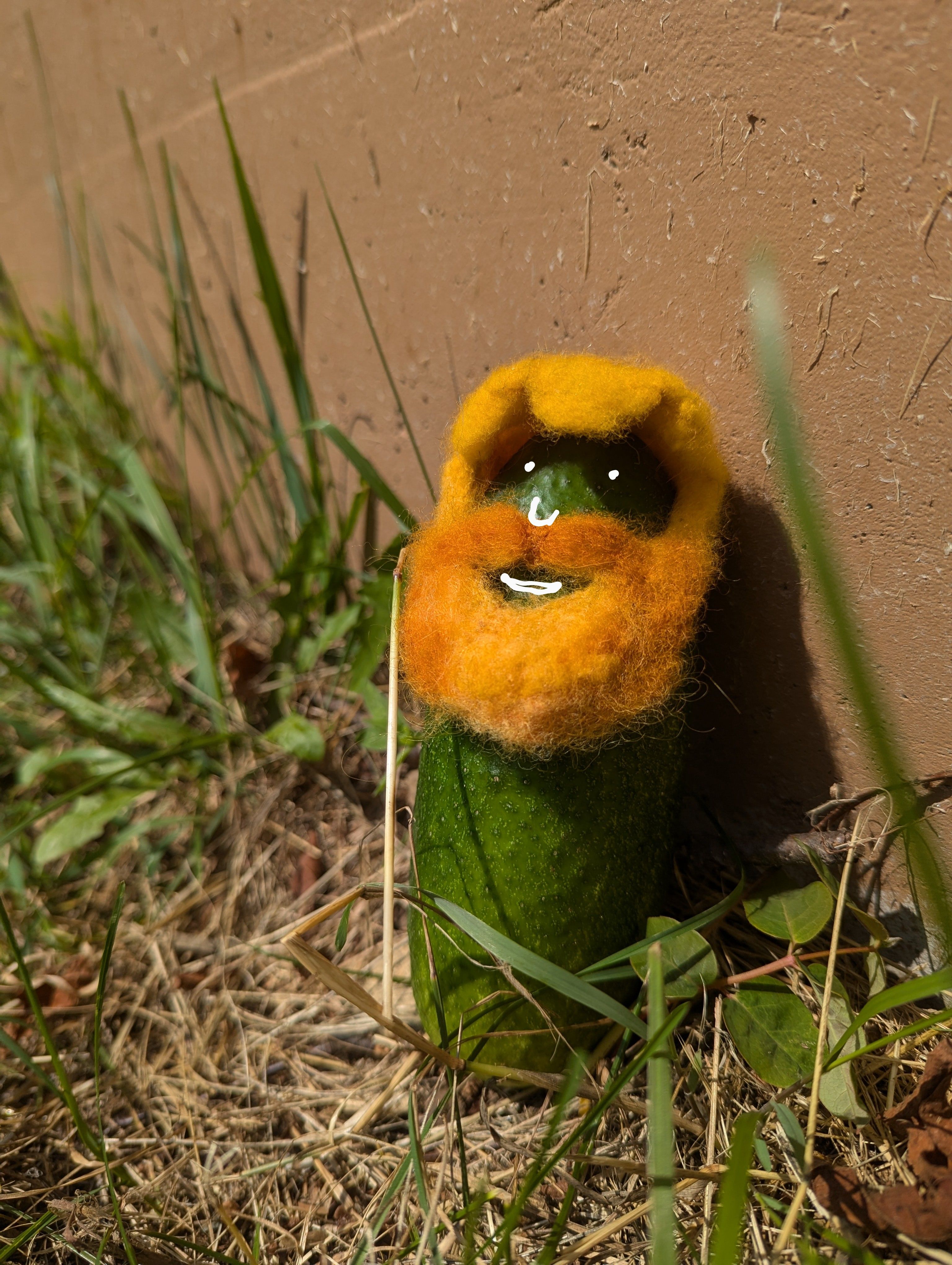 A freshly harvested cucumber propped by a wall dawns a wool felted toupe and beard combo with, it's illustrated face turned up in a smurk.