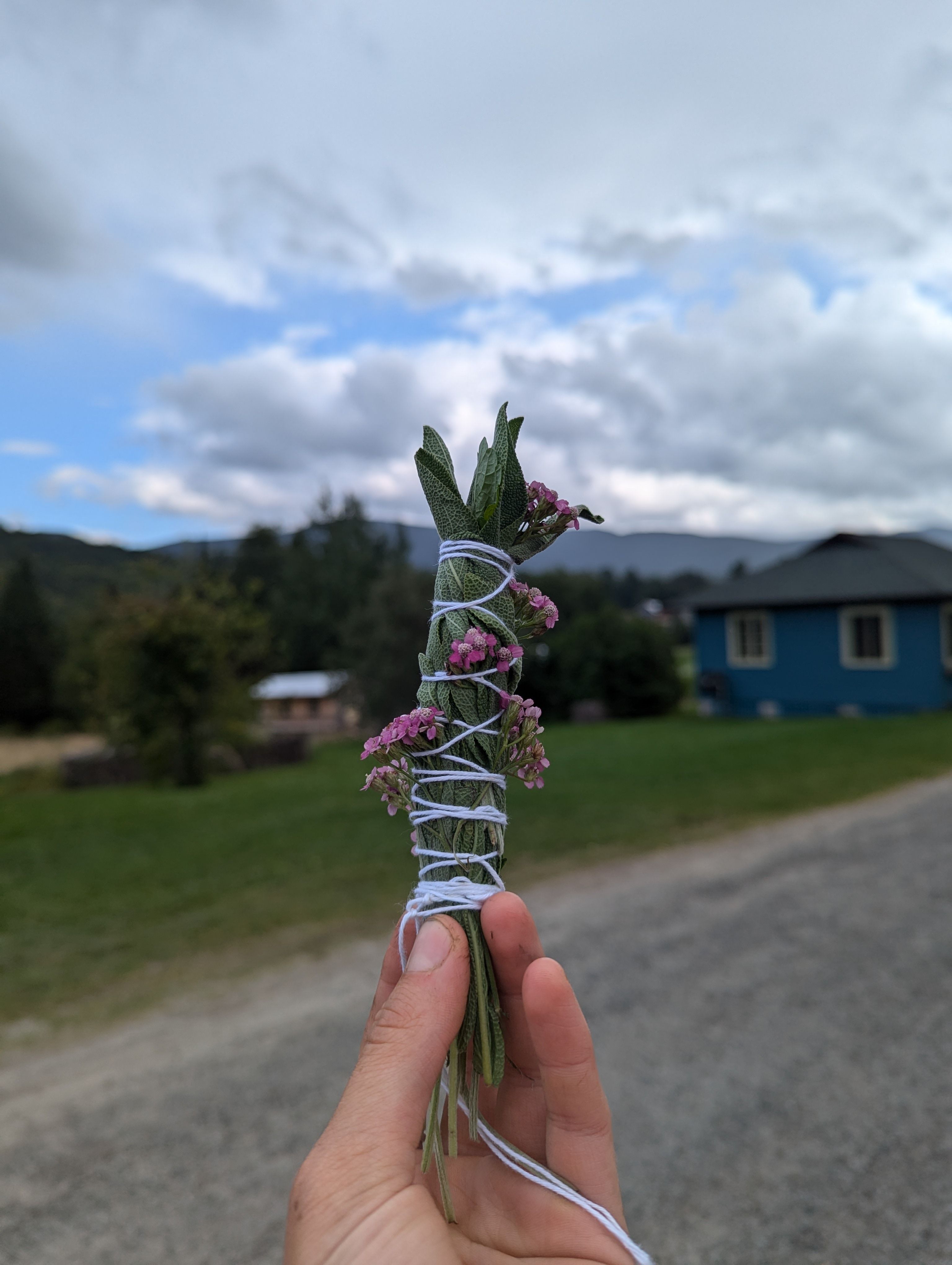A hand holds up a bundle of fresh sage and yarrow bound with string in front of green grass and mountains.